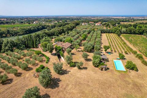 Villa i Bibbona, Livorno, Bibbona - € 1.000.000 | Ref: CS447 - foto 25