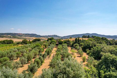 Villa i Bibbona, Livorno, Bibbona - € 1.000.000 | Ref: CS447 - foto 26