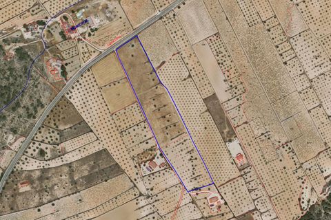 Terra a La Zarza, Murcia, La Zarza - € 59.000 | Ref: CF3269 - foto 2