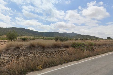 Terra a La Zarza, Murcia, La Zarza - € 59.000 | Ref: CF3269 - foto 3