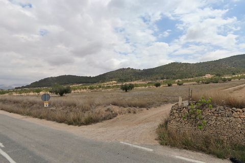 Terra a La Zarza, Murcia, La Zarza - € 59.000 | Ref: CF3269 - foto 4
