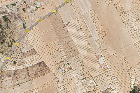 Terra a La Zarza, Murcia, La Zarza - € 59.000 | Ref: CF3269 - foto 5