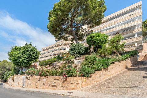 Penthouse i Cas Catala, Mallorca, Cas Catala - € 1.890.000 | Ref: FALC-Nep-62905 - foto 25