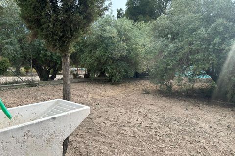 Villa i Algoda, Alicante, Algoda - € 393.000 | Ref: EXP12298/8930 - foto 16