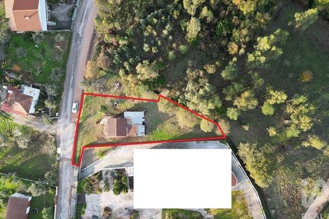 Byhus i Penela, Coimbra, Penela - € 60.000 | Ref: 774347 - foto 2