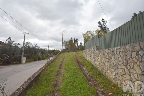 Byhus i Penela, Coimbra, Penela - € 60.000 | Ref: 774347 - foto 5