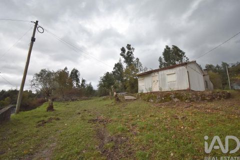 Byhus i Penela, Coimbra, Penela - € 60.000 | Ref: 774347 - foto 6