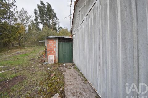 Byhus i Penela, Coimbra, Penela - € 60.000 | Ref: 774347 - foto 21