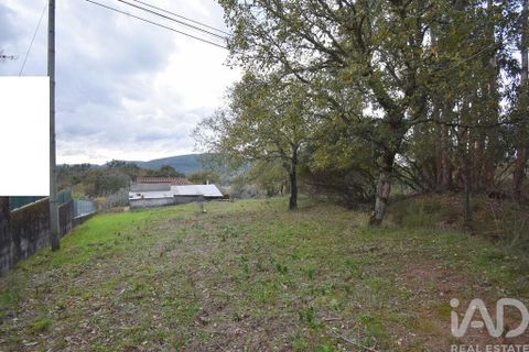 Byhus i Penela, Coimbra, Penela - € 60.000 | Ref: 774347 - foto 28
