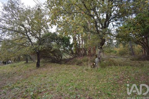 Byhus i Penela, Coimbra, Penela - € 60.000 | Ref: 774347 - foto 29