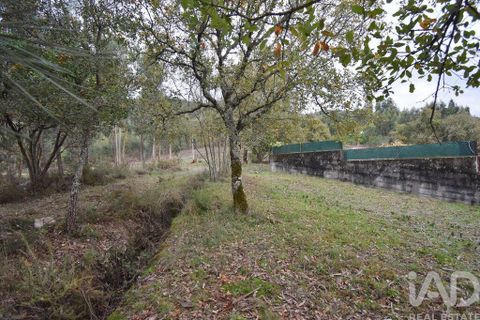 Byhus i Penela, Coimbra, Penela - € 60.000 | Ref: 774347 - foto 31