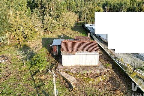 Byhus i Penela, Coimbra, Penela - € 60.000 | Ref: 774347 - foto 36