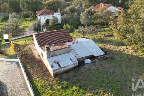 Byhus i Penela, Coimbra, Penela - € 60.000 | Ref: 774347 - foto 39