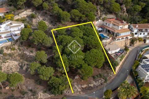Helårsgrund i Lloret De Mar, Gerona, Lloret De Mar - € 230.000 | Ref: CBR65145 - foto 5