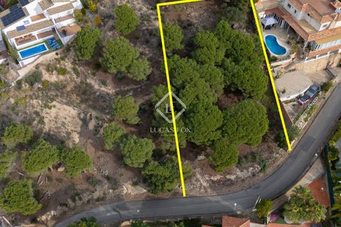 Helårsgrund i Lloret De Mar, Gerona, Lloret De Mar - € 230.000 | Ref: CBR65145 - foto 7