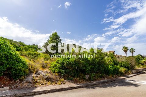 Helårsgrund i Pego, Alicante, Pego - € 230.000 | Ref: MO5444 - foto 4