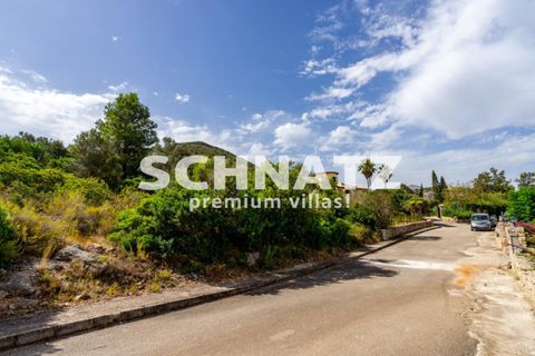 Helårsgrund i Pego, Alicante, Pego - € 230.000 | Ref: MO5444 - foto 8