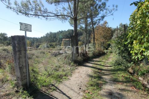 Tomt i Goaes, Braga, Goaes - € 18 500 | Ref: ZMPT583619 - foto 2