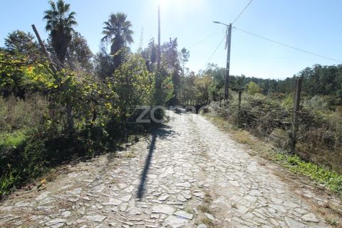 Tomt i Goaes, Braga, Goaes - € 18 500 | Ref: ZMPT583619 - foto 3
