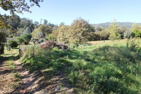 Tomt i Goaes, Braga, Goaes - € 18 500 | Ref: ZMPT583619 - foto 6