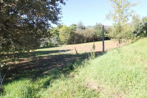 Tomt i Goaes, Braga, Goaes - € 18 500 | Ref: ZMPT583619 - foto 9