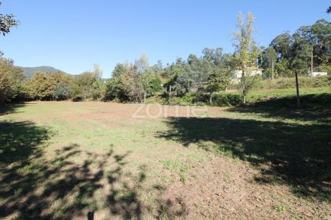 Tomt i Goaes, Braga, Goaes - € 18 500 | Ref: ZMPT583619 - foto 8