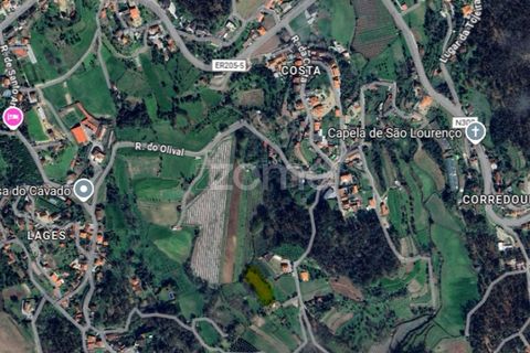 Tomt i Goaes, Braga, Goaes - € 18 500 | Ref: ZMPT583619 - foto 10
