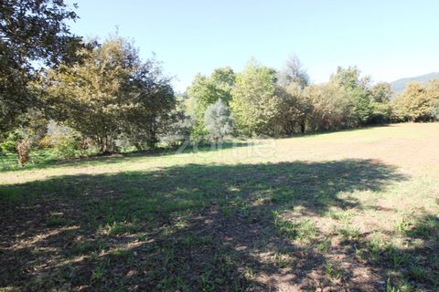 Tomt i Goaes, Braga, Goaes - € 18 500 | Ref: ZMPT583619 - foto 11