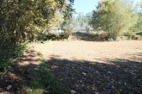 Tomt i Goaes, Braga, Goaes - € 18 500 | Ref: ZMPT583619 - foto 12