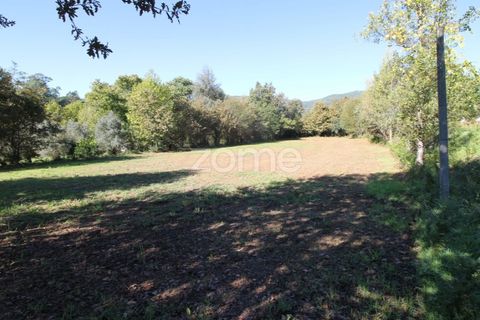 Tomt i Goaes, Braga, Goaes - € 18 500 | Ref: ZMPT583619 - foto 13