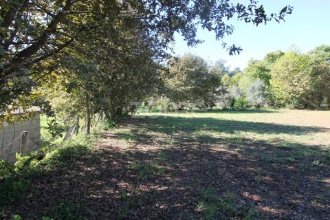 Tomt i Goaes, Braga, Goaes - € 18 500 | Ref: ZMPT583619 - foto 14