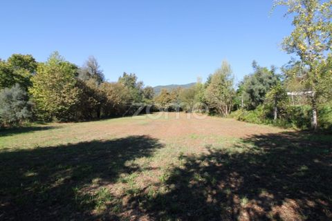 Tomt i Goaes, Braga, Goaes - € 18 500 | Ref: ZMPT583619 - foto 15