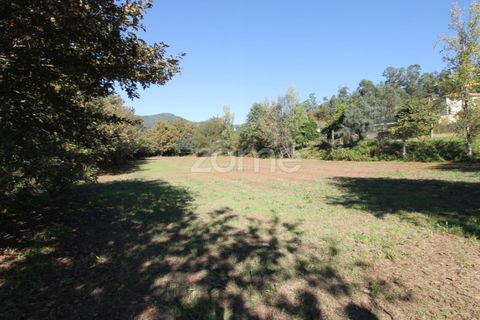Tomt i Goaes, Braga, Goaes - € 18 500 | Ref: ZMPT583619 - foto 16