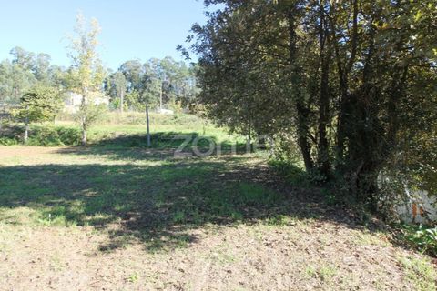 Tomt i Goaes, Braga, Goaes - € 18 500 | Ref: ZMPT583619 - foto 17