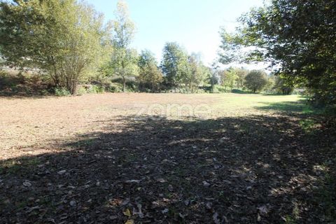 Tomt i Goaes, Braga, Goaes - € 18 500 | Ref: ZMPT583619 - foto 18
