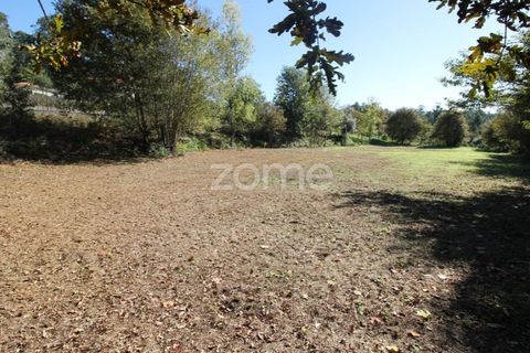 Tomt i Goaes, Braga, Goaes - € 18 500 | Ref: ZMPT583619 - foto 19