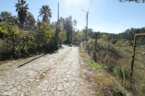 Tomt i Goaes, Braga, Goaes - € 18 500 | Ref: ZMPT583619 - foto 20