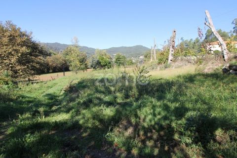 Tomt i Goaes, Braga, Goaes - € 18 500 | Ref: ZMPT583619 - foto 7