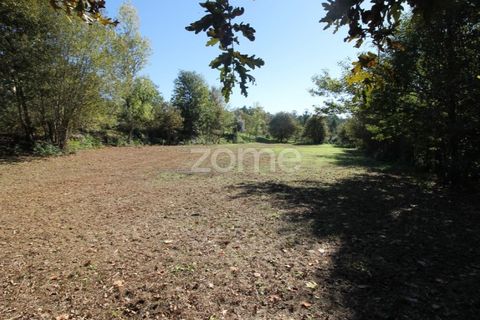 Terreno en Goaes, Braga, Goaes - € 18.500 | Ref: ZMPT583619 - photo 19