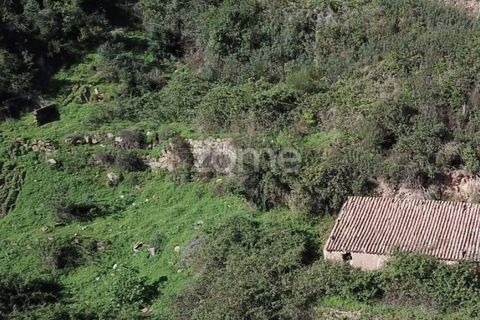 Helårsgrund i Monchique, Faro, Monchique - € 127.500 | Ref: ZMPT583526 - foto 2