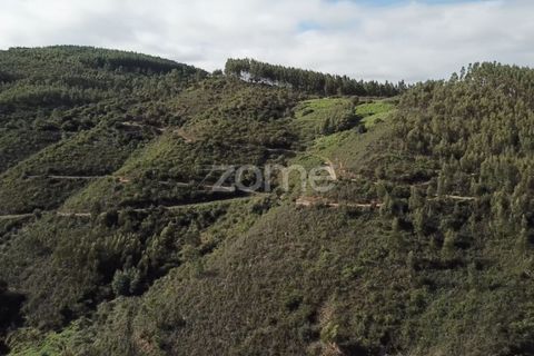 Helårsgrund i Monchique, Faro, Monchique - € 127.500 | Ref: ZMPT583526 - foto 4