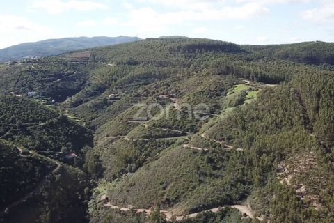 Helårsgrund i Monchique, Faro, Monchique - € 127.500 | Ref: ZMPT583526 - foto 6