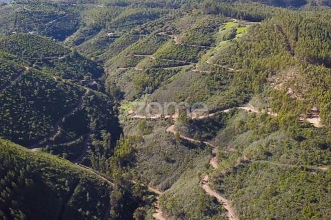 Helårsgrund i Monchique, Faro, Monchique - € 127.500 | Ref: ZMPT583526 - foto 7