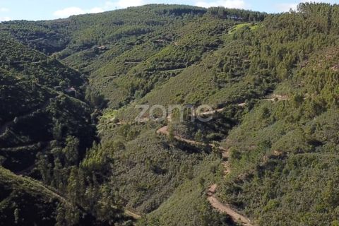 Helårsgrund i Monchique, Faro, Monchique - € 127.500 | Ref: ZMPT583526 - foto 8