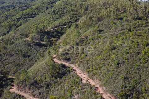 Helårsgrund i Monchique, Faro, Monchique - € 127.500 | Ref: ZMPT583526 - foto 9