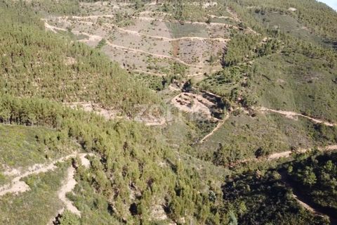 Helårsgrund i Monchique, Faro, Monchique - € 127.500 | Ref: ZMPT583526 - foto 11