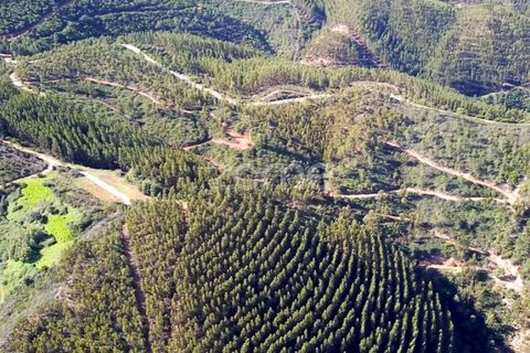 Helårsgrund i Monchique, Faro, Monchique - € 127.500 | Ref: ZMPT583526 - foto 13