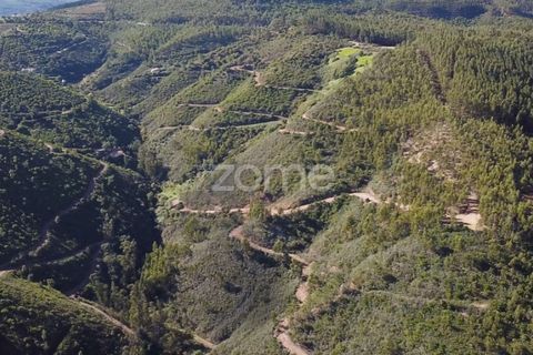 Helårsgrund i Monchique, Faro, Monchique - € 127.500 | Ref: ZMPT583526 - foto 14