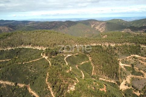Helårsgrund i Monchique, Faro, Monchique - € 127.500 | Ref: ZMPT583526 - foto 15