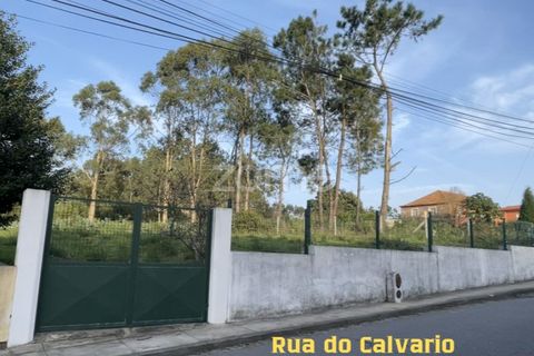 Terra a Silvalde, Aveiro, Silvalde - € 170.000 | Ref: ZMPT576416 - foto 2